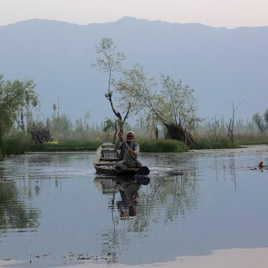 shikara, kashmir, dal lake, srinagar, lake, nature, boat, outdoors, wilderness, kashmir, kashmir, kashmir, kashmir, kashmir, dal lake, dal lake