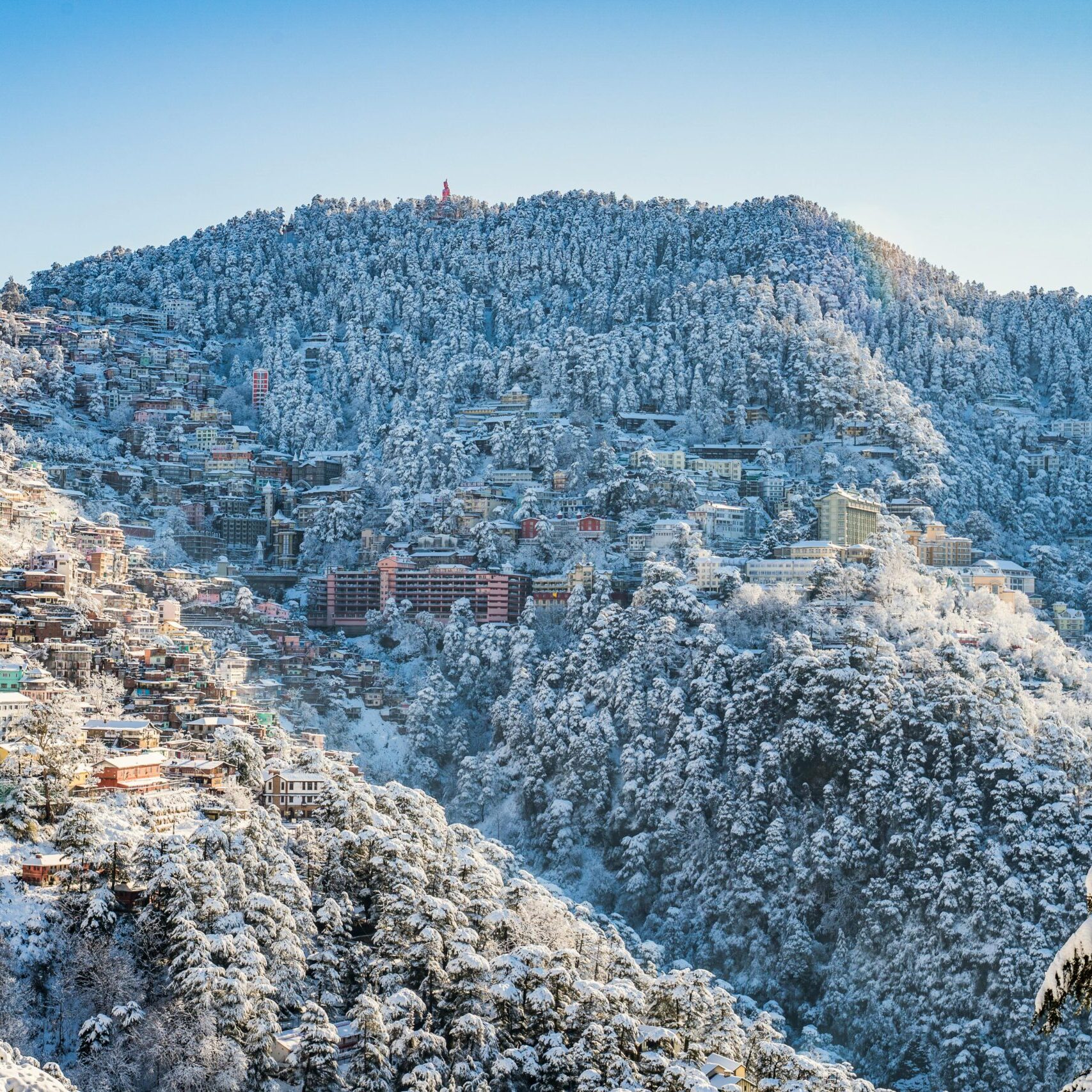 A scenic view of Shimla in winter, with snow-covered buildings and forests under a clear blue sky.