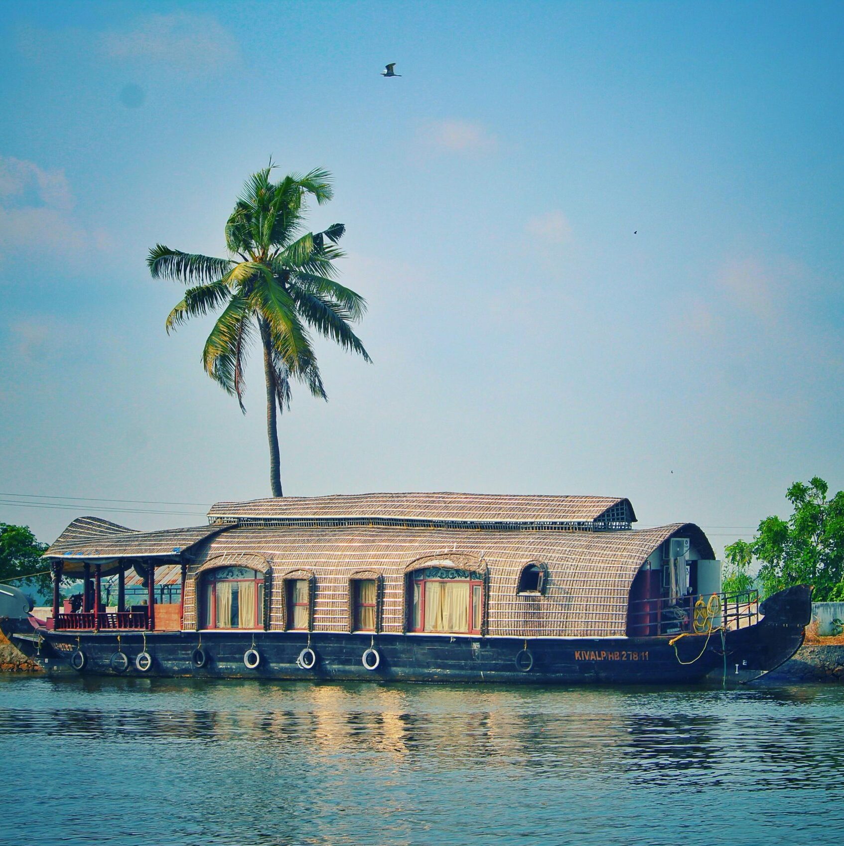 Picturesque view of river with green palms on bank and shabby wooden boathouse under blue sky in tropical countryside